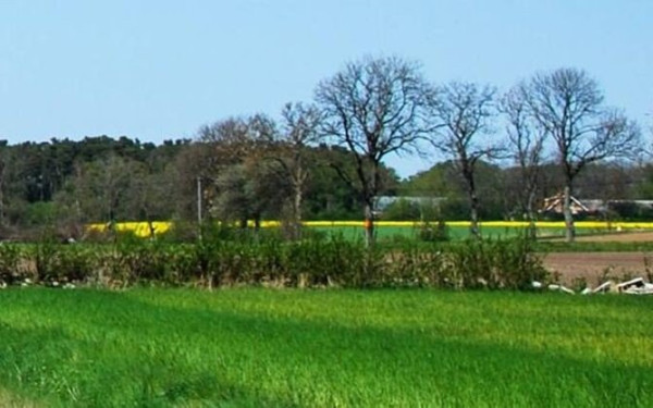 ΟΣΔΕ 2025: Ανοίγει η πλατφόρμα myBusinessSupport τον Μάρτιο για διορθώσεις σε αγροτεμάχια έως 20 στρέμματα