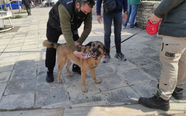 Θεσσαλονίκη: Έλεγχοι σε ιδιοκτήτες ζώων - Οκτώ πρόστιμα για βόλτα σκύλου χωρίς λουρί