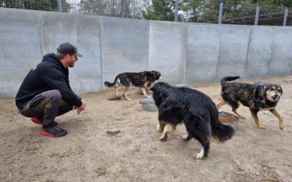 Πόλεμος Ουκρανία: Εκατοντάδες σκυλιά πέθαναν από την πείνα σε καταφύγιο αδέσποτων (βίντεο)