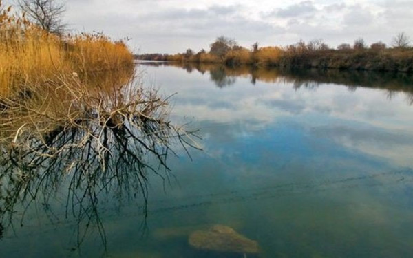 Δάσος Φρακτού: Το ανέγγιχτο μνημείο της ελληνικής φύσης