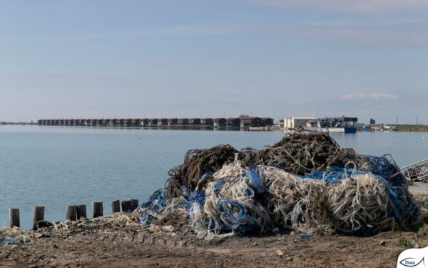 Θεσσαλονίκη: Ολική η καταστροφή των μυδοκαλλιεργειών λόγω κλιματικής κρίσης