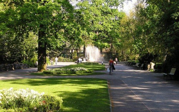 Καλαμαριά: Οι πολίτες… σώζουν και ενημερώνουν για την κατάσταση των δέντρων και πρασίνου στη γειτονιά τους