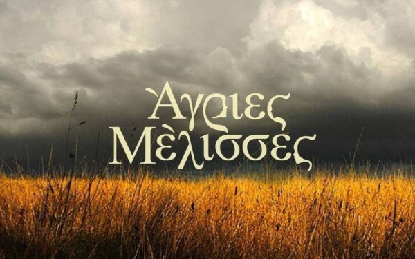 «Μετάνιωσα που δεν έπαιξα στις Άγριες Μέλισσες - Νόμιζα θα κοπεί τον πρώτο μήνα» (βίντεο)