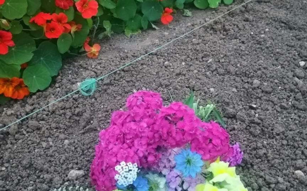 Δήμος Θεσσαλονίκης: «Μαμά σ' αγαπώ και σε προσέχω!» σε συνεργασία με το Άλμα Ζωής