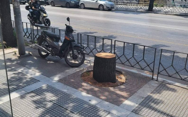Θεσσαλονίκη: Δέντρο στην Τσιμισκή… εξαφανίστηκε!