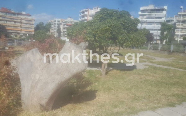 Καλαμαριά: Το πάρκο της Σοφούλη κινδυνεύει με ανοικοδόμηση - Υπογραφές μαζεύουν οι κάτοικοι  (φωτ.)