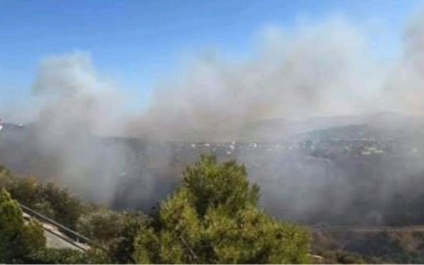 Νέα φωτιά στην Πέλλα 