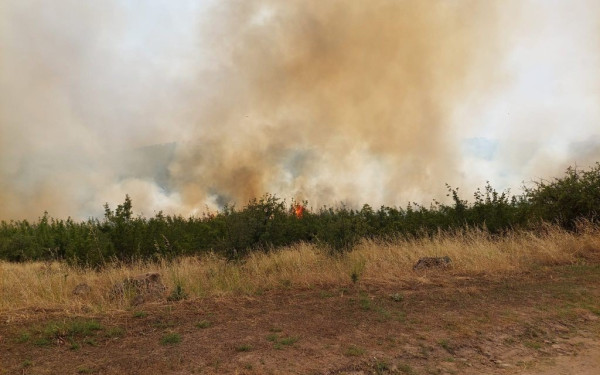 Υπό μερικό έλεγχο η φωτιά στη Σκύδρα (βίντεο)