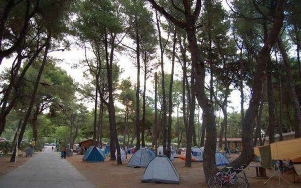 Προσπάθειες για να ανοίξει στις αρχές Ιουλίου η κατασκήνωση του ΑΠΘ