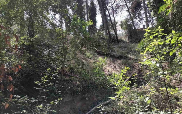 Αλλάζει η εισήγηση του δήμου Θεσσαλονίκης για την οριοθέτηση του ρέματος Κρυονερίου