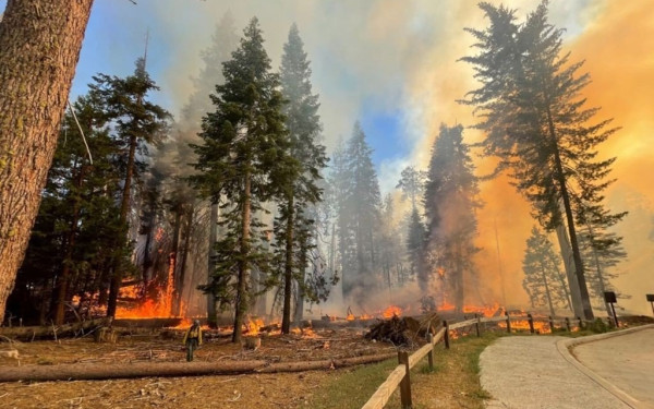 Οι ακραίες δασικές πυρκαγιές έχουν υπερδιπλασιαστεί σε συχνότητα και μέγεθος τα τελευταία 20 χρόνια