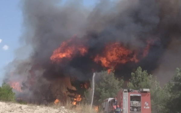 Εφιάλτης στο Σουφλί: Μάχη με το χρόνο για να σωθεί το δάσος της Δαδιάς (βίντεο & φωτ.)