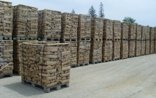 Βόρεια Ελλάδα: Ο διπλασιασμός της τιμής στα καυσόξυλα... νέκρωσε την αγορά