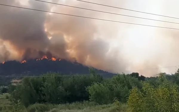 Δάσος Δαδιάς: Ο θησαυρός που «καταπίνουν» οι φλόγες