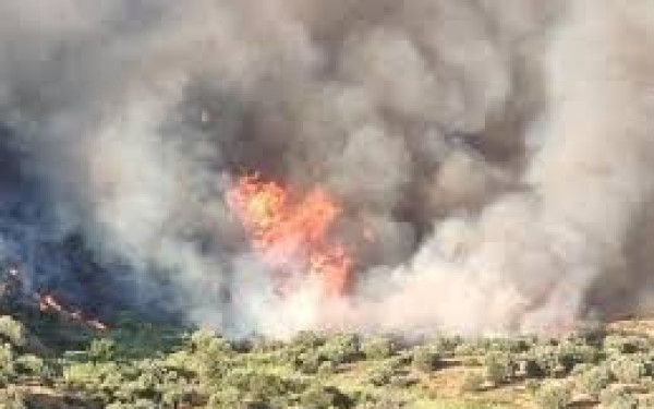 Αίγινα: Πυρκαγιά στην περιοχή Κοντός – Κινητοποιήθηκαν αεροσκάφος και ενισχύσεις