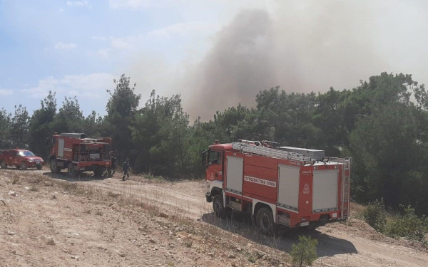 Νέες αντιπυρικές ζώνες στο νοτιοδυτικό τμήμα του Εθνικού Πάρκου της Δαδιάς