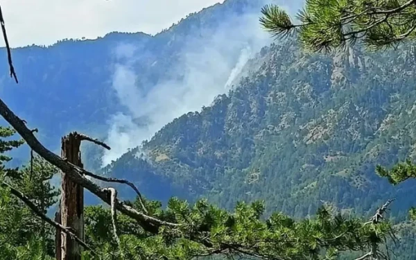Μαίνεται η φωτιά στη Βάλια Κάλντα - Καίει από χθες σε δυσπρόσιτο σημείο του Εθνικού Δρυμού