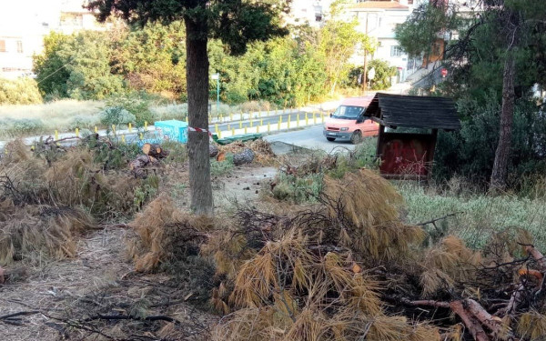 Θεσσαλονίκη: «Εμπρηστικές βόμβες» στις παρυφές του Σέιχ-Σου, μια ανάσα από σπίτια!