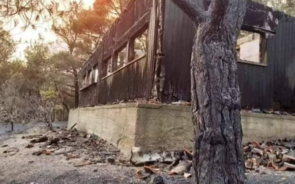 ﻿﻿Πώς ήταν το παρατηρητήριο πουλιών στο δάσος της Δαδιάς και πώς έγινε﻿