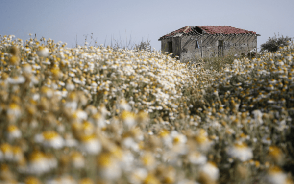 Έκκληση να σωθεί το Σπίτι του φύλακα της αλυκής Αγγελοχωρίου 