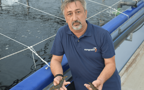 Γύρισε από την Αυστραλία 40 χρόνια μετά και δημιούργησε την πρώτη μονάδα εκτροφής γαρίδας στην Ελλάδα