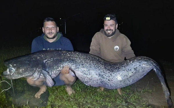 Λίμνη Πλαστήρα: Ψαράδες έπιασαν γουλιανό μήκους 2,40 μέτρων και σχεδόν 100 κιλών
