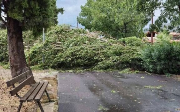 Βελβεντό Κοζάνης: Πτώσεις δέντρων στην εθνική οδό από την κακοκαιρία - Χωρίς ρεύμα η πόλη (βίντεο, φωτ.)