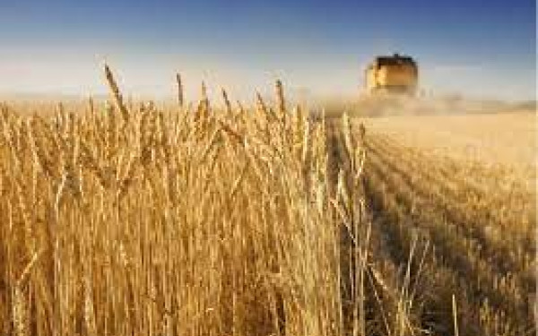 Ρωσία: Για εξήντα και όχι για εκατόν είκοσι μέρες πήρε παράταση η συμφωνία για τα σιτηρά λέει η Ζαχάροβα