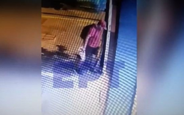 Για κακούργημα παραπέμπεται ο 40χρονος που ποδοπάτησε μέχρι θανάτου το γατάκι στη Θεσσαλονίκη