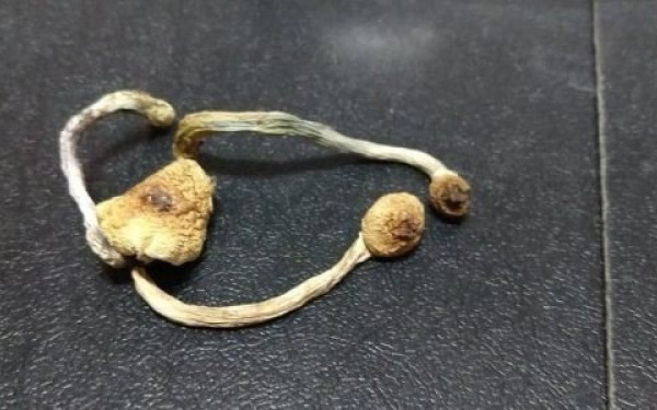 Ανησυχία στη Λάρισα: Αυξάνεται η χρήση ναρκωτικών από νέους