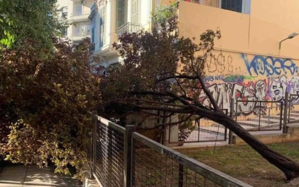 Δεκάδες κλήσεις για κοπές δέντρων και τόνους νερού έφερε η «EVA» 