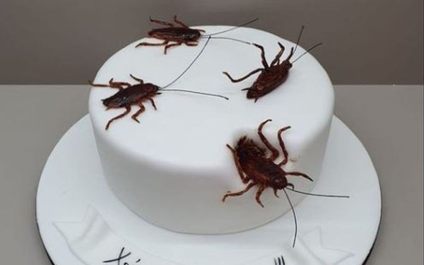 Ζαχαροπλαστείο την Κόρινθο έφτιαξε τούρτα με... κατσαρίδες και ξεπουλάει! 