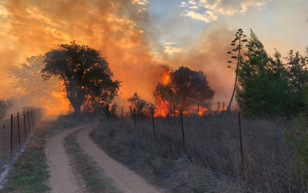 Αγρίνιο: Πυρκαγιά στην περιοχή Στράτος 