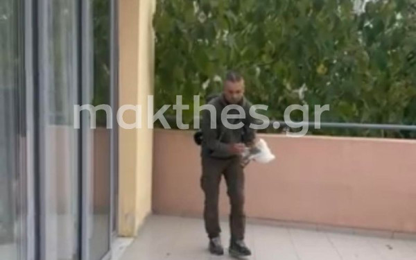 Θεσσαλονίκη: Γλάρος και φίδι... εγκλωβίστηκαν σε νηπιαγωγεία (βίντεο) 