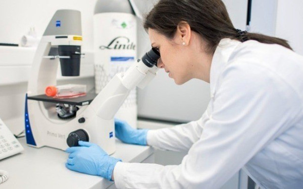 Έρευνες του ΜΙΤ ανέπτυξαν νανοσωματίδια στη μάχη κατά του καρκίνου των ωοθηκών Έρευνες του ΜΙΤ ανέπτυξαν νανοσωματίδια στη μάχη κατά του καρκίνου των ωοθηκών