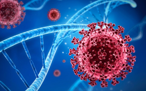 Γονίδιο με καρκινογόνο μετάλλαξη: Γενετικοί έλεγχοι και αριθμός απογόνων ανά δότη