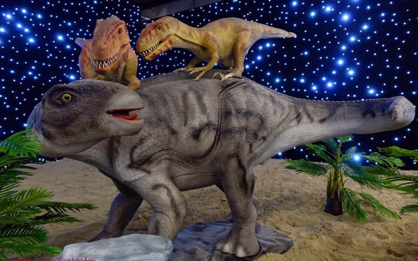 Γερμανία: Διαμαρτυρία ακτιβιστών για το κλίμα 