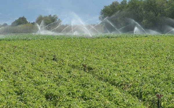 Κοινή Αγροτική Πολιτική 2023-2027: Δημοσιεύθηκε η 1η έγκριση τροποποίησης του Στρατηγικού Σχεδίου