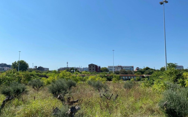 Θεσσαλονίκη: Ένα βήμα πιο κοντά για το Μητροπολιτικό Πάρκο στη δυτική είσοδο