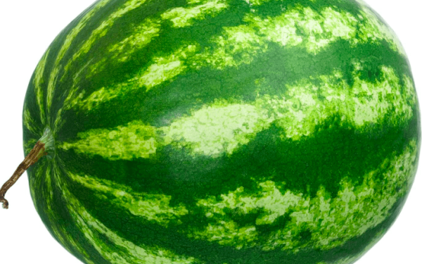 Ουκρανία: Το καρπούζι σύμβολο ελπίδας μετά την επανακατάληψη της Χερσώνας 