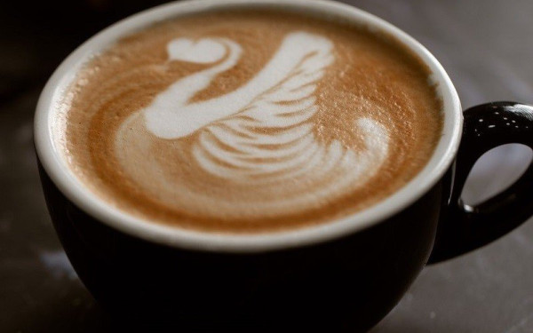 Στο Coffee Garden ο καφές… ανθίζει