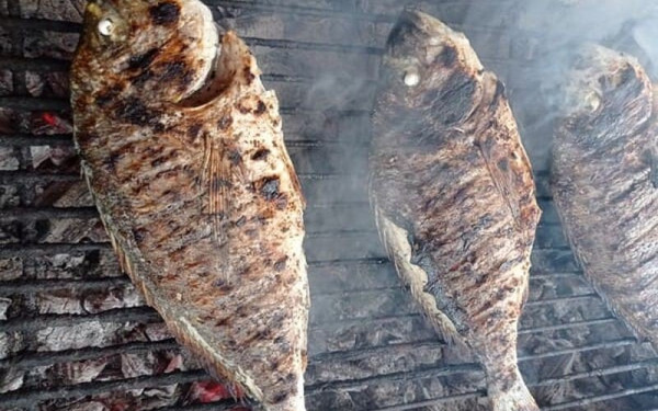 Απίστευτη διάρρηξη στα Γιάννενα: Διέρρηξαν ιχθυοτροφείο, έψησαν ψάρια και τα έφαγαν