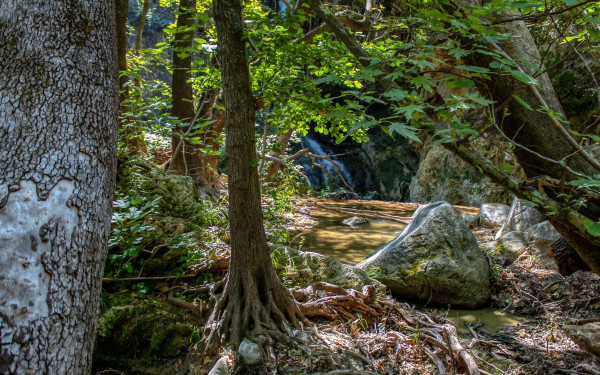 Σέρρες - Ζεστά Νερά: Καταρράκτες και ένα από τα μεγαλύτερα τραβερτινικά σπήλαια στον κόσμο (βίντεο)