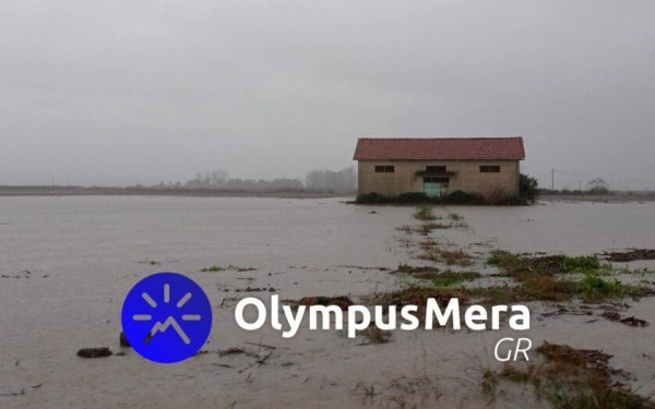 Πιερία: Πλημμύρισαν οι καλλιέργειες στο Βαρικό - Απροσπέλαστος ο δρόμος στη γέφυρα του Αλεξιάδη (φωτ.)