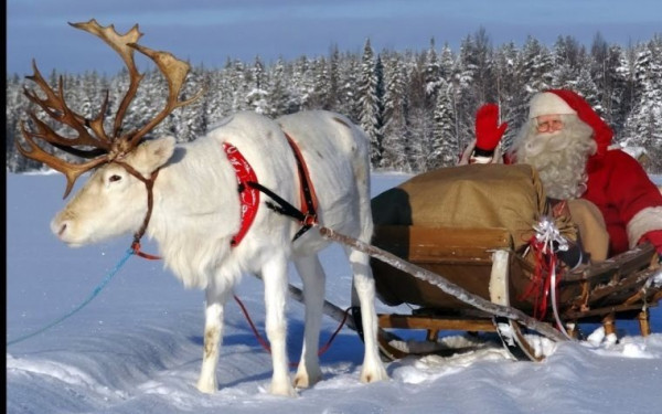 Ο Άη Βασίλης, μια πολική αρκούδα και οι φίλοι τους από το Βόρειο Πόλο… προσγειώνονται στη Σταυρούπολη!
