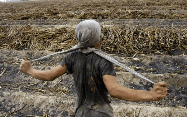 Η 8η Μπιενάλε Σύγχρονης Τέχνης Θεσσαλονίκης «περιστρέφεται» γύρω από τη «Γεωκουλτούρα»