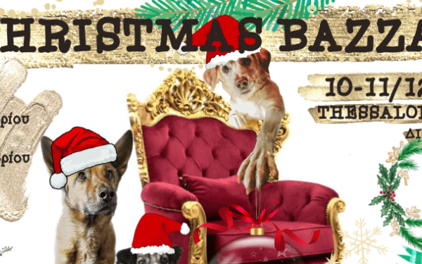 Χριστουγεννιάτικο bazaar από αδέσποτα για αδέσποτα