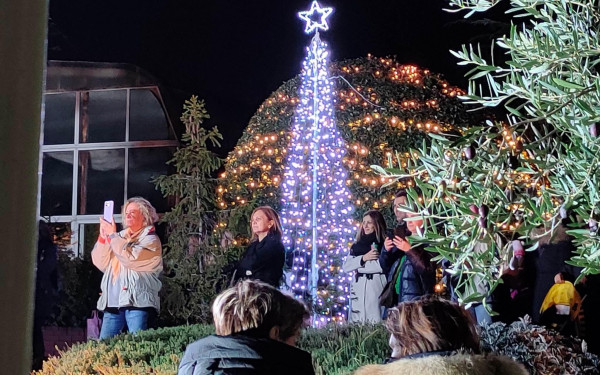 Δήμος Παύλου Μελά: Πρόγραμμα φωταγώγησης χριστουγεννιάτικων δέντρων