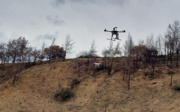 Αναδάσωση με... drone για πρώτη φορά στην Ελλάδα - Πώς γίνεται η καινοτόμος τεχνική (φωτ.)