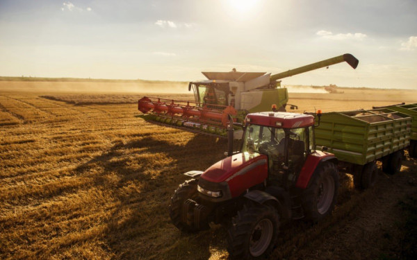 Η Ρωσία «απαλλοτριώνει» τα ουκρανικά σιτηρά!